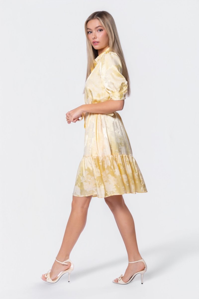 green emerald velvet dress Celine Dress 39