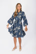 Allie Dress Long Sleeve 41" (Navy Ground)