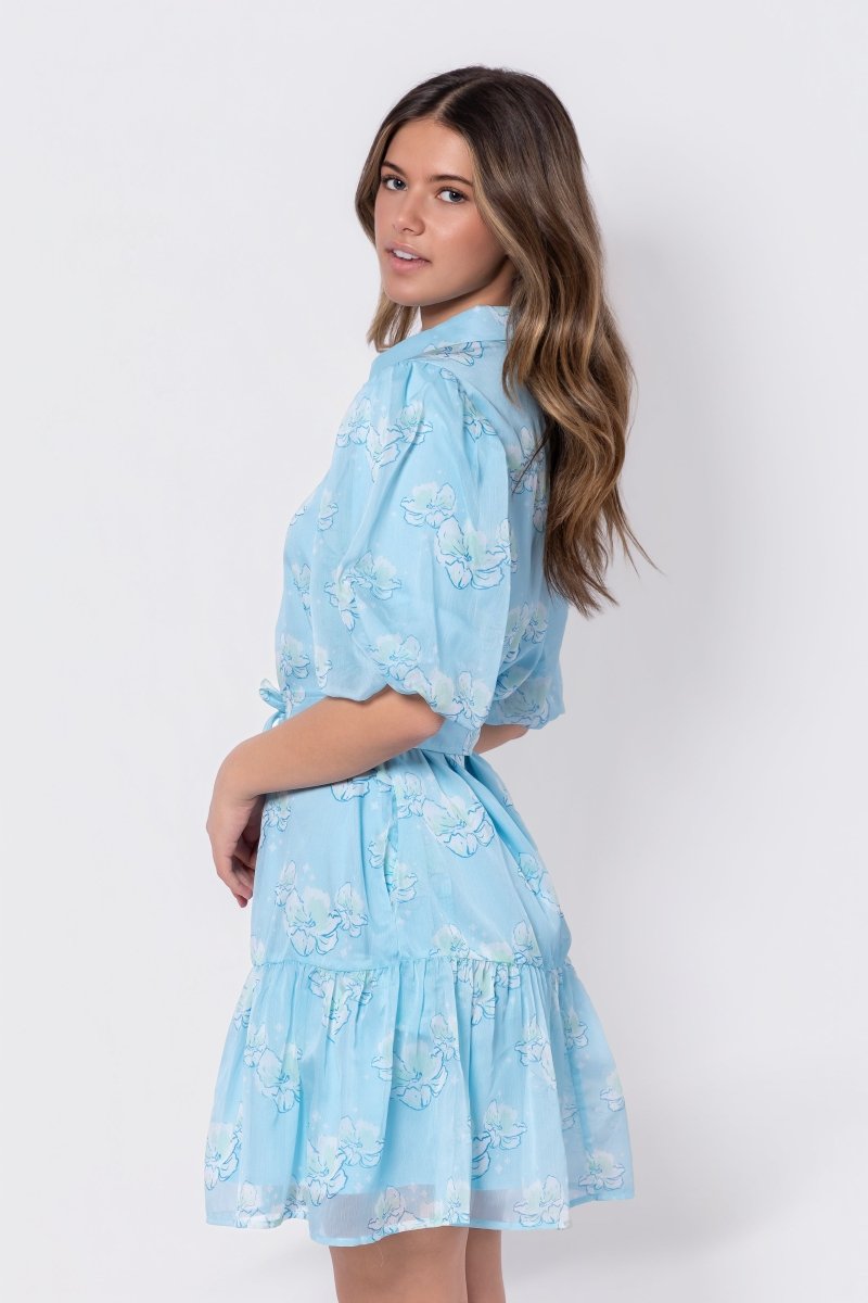 allie blue dress The Notebook Blue Dress Allie Hamilton 1940s Costume  LausenCrafts