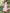Anika Dress (Ivory Flower) - Dress - Yakira Bella