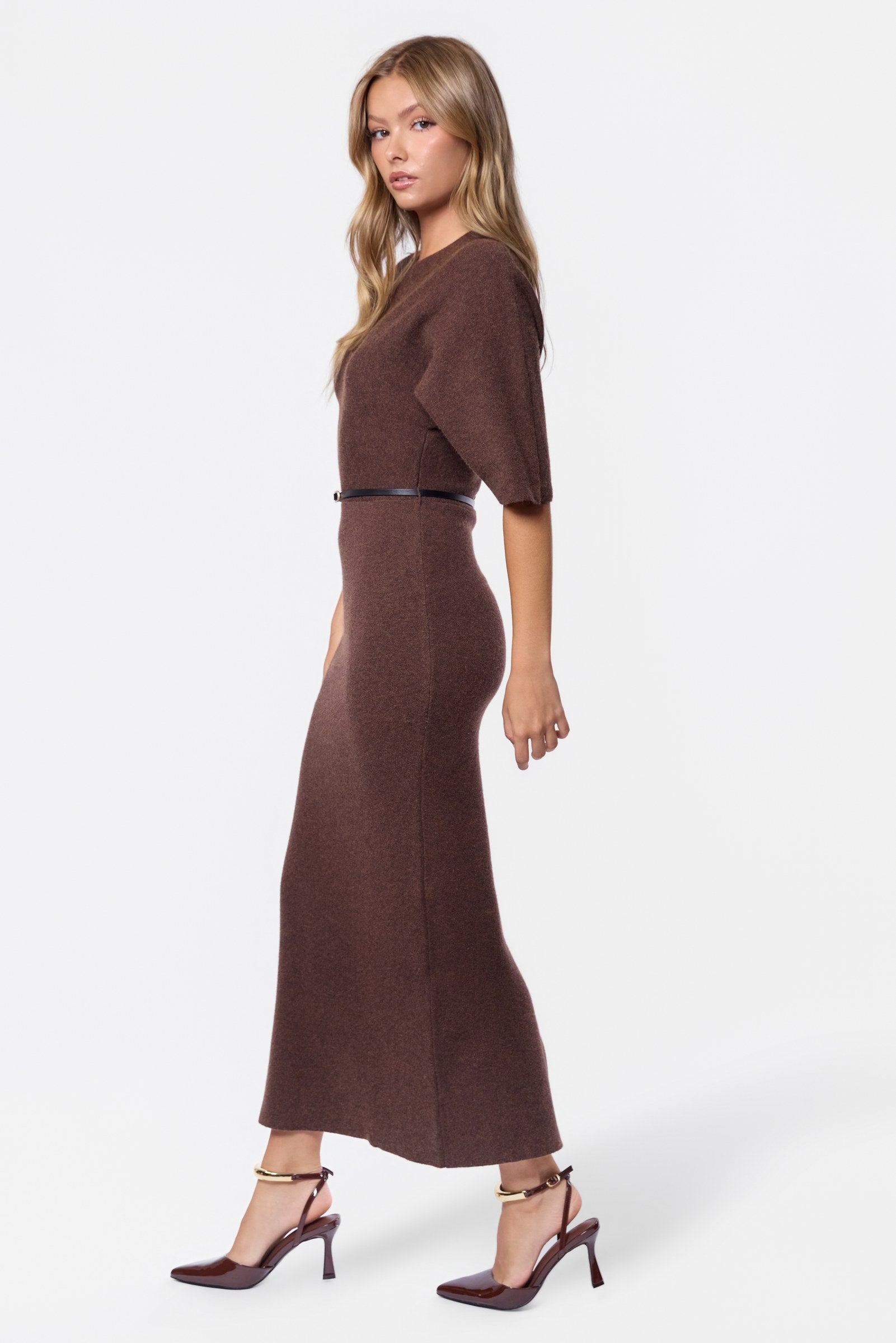 Larisa Dress (Brown)